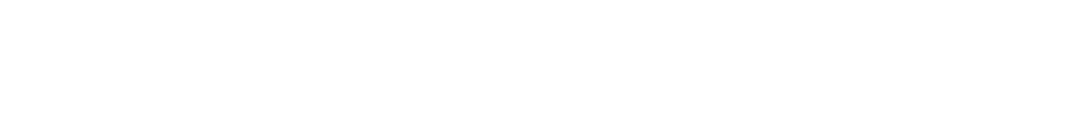 logo pieno punturina